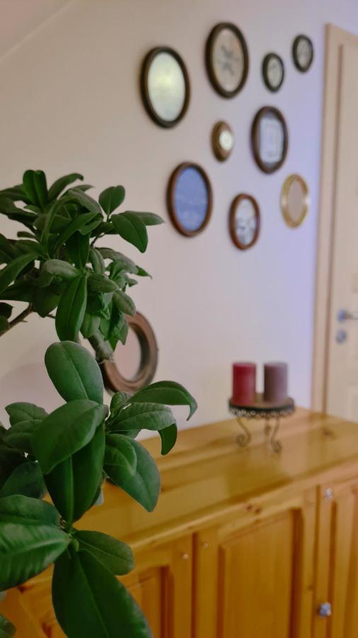 Boronia Holiday home Borowo